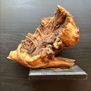 Natural Mespah Wood Sculpture on Black Base